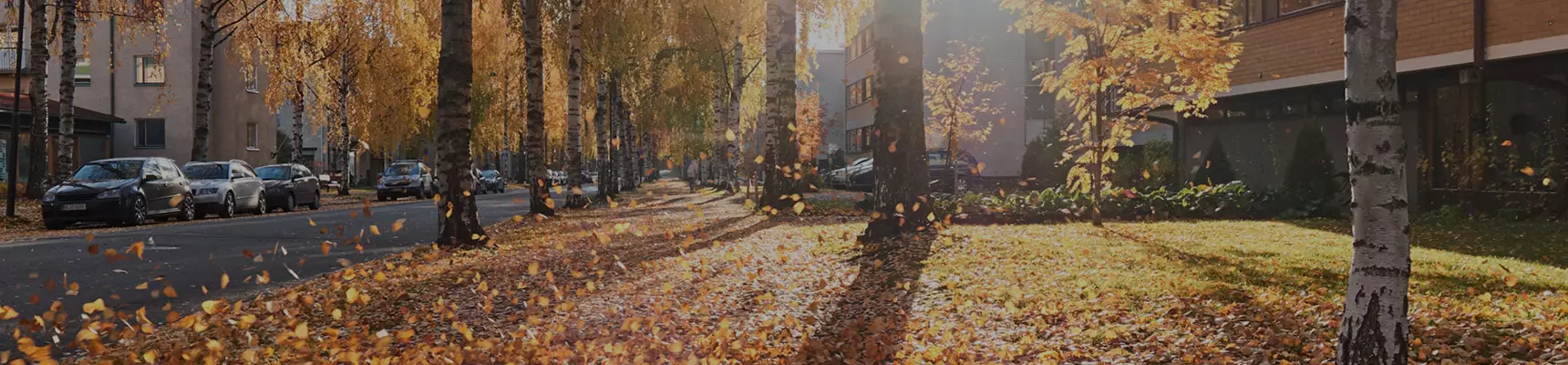 Pihavarusteet taloyhtiön pihaan 34