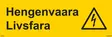 Hengenvaara-Livsfara Alumiini 300 x 120 mm - Sähköalan kilvet - 72240 - 1
