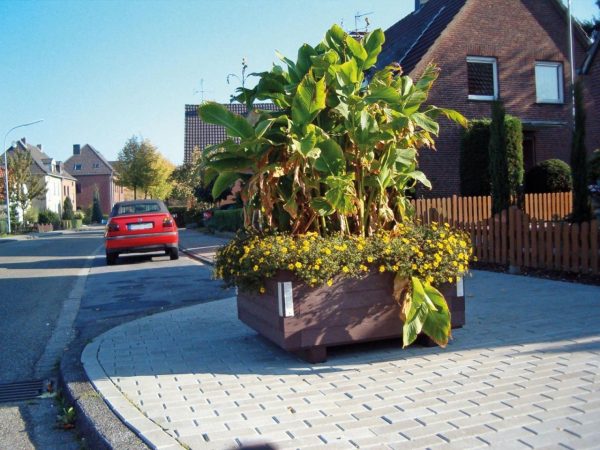 Iberis piharuukku, ekologinen 1,4 x 1,4 x 0,47 m - Ulkokalusteet - 71931 - 1