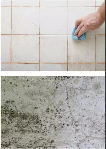 BioComb Homepesu 5 l - Torjunta-aineet, Kasvinsuojeluaineet - 4974 - 2