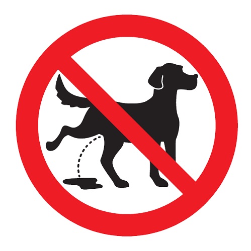 Koirien ulkoiluttaminen kielletty symboli muovi 100 x 100 mm - Kieltokilvet - 66756 - 1