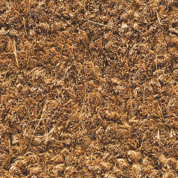 Kookosharjasmatto Ruco 100 cm - Ruohomatot, Kuramatot - 14737 - 1