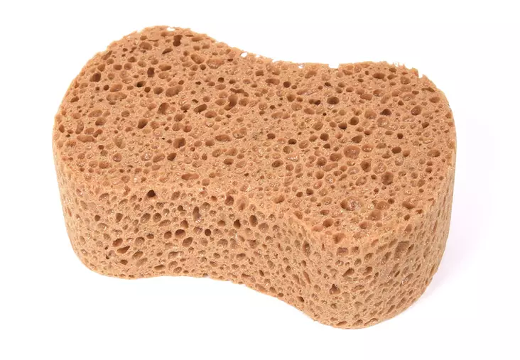 Pesusieni Heavy Duty - Siivousliinat, Sienet - 5838 - 1